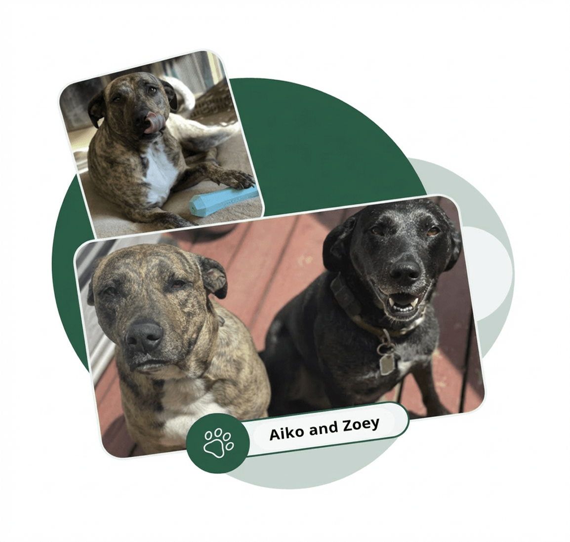 Aiko-and-Zoey-Edited